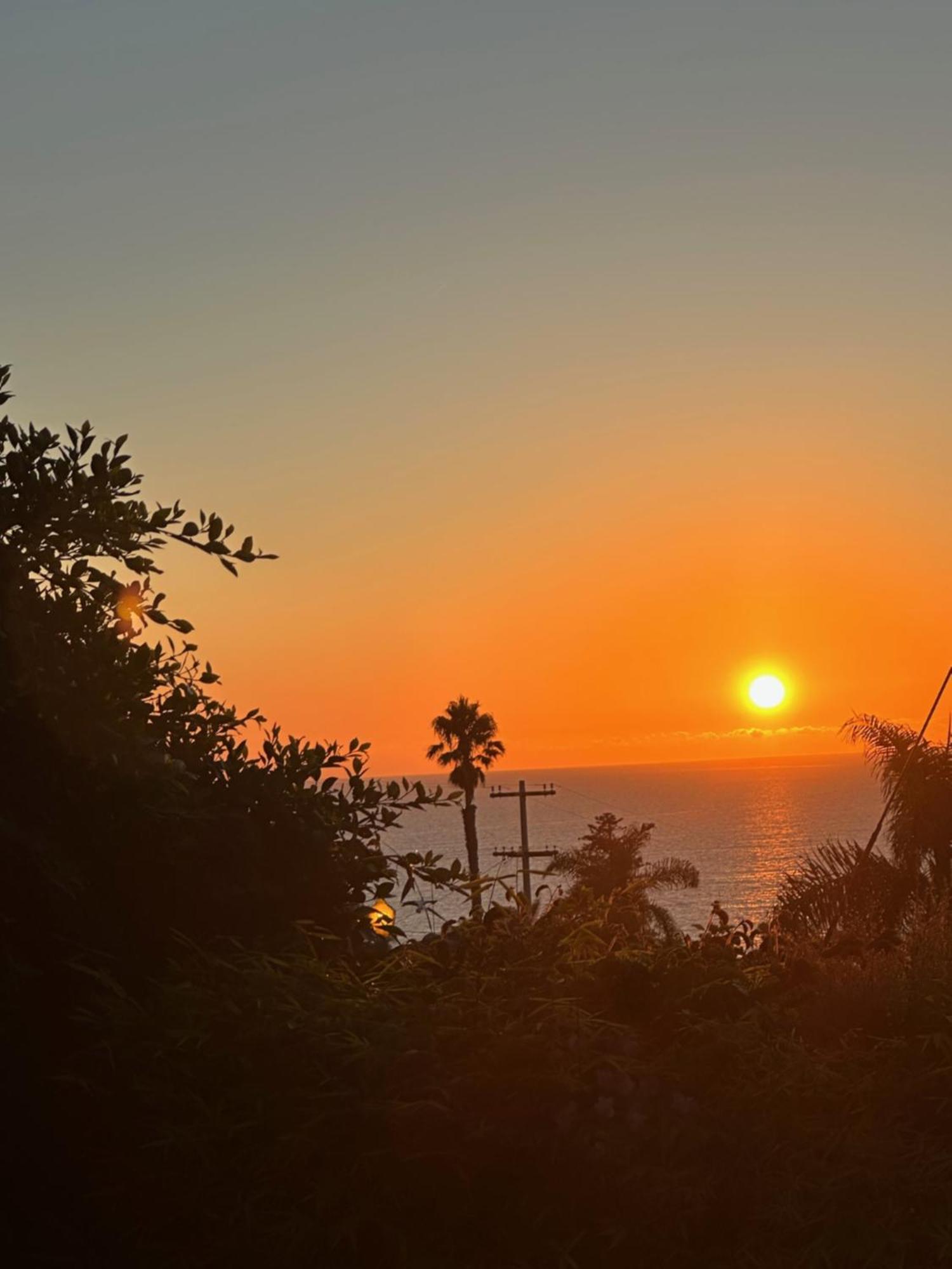 Contemporary Ocean Sunset Views With Firepit Pt Loma Close To Plnu Σαν Ντιέγκο Εξωτερικό φωτογραφία