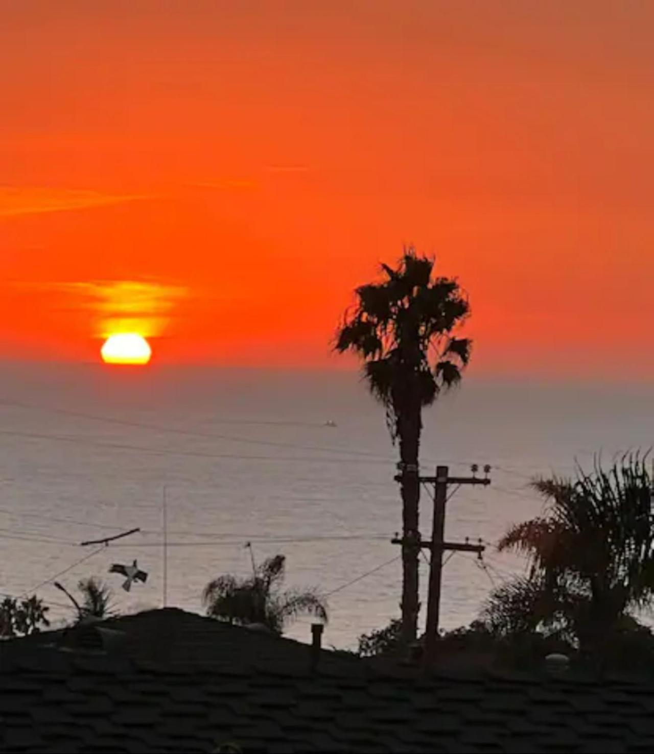 Contemporary Ocean Sunset Views With Firepit Pt Loma Close To Plnu Σαν Ντιέγκο Εξωτερικό φωτογραφία